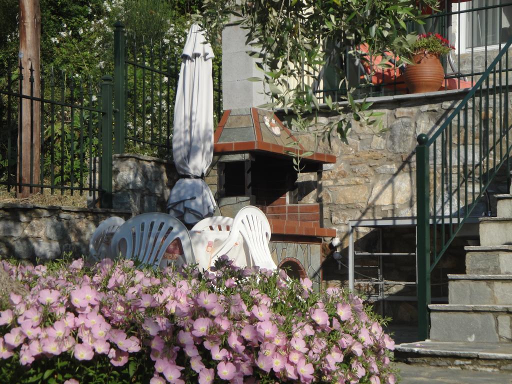 Nestor Apartments Chrysi Ammoudia Pokój zdjęcie